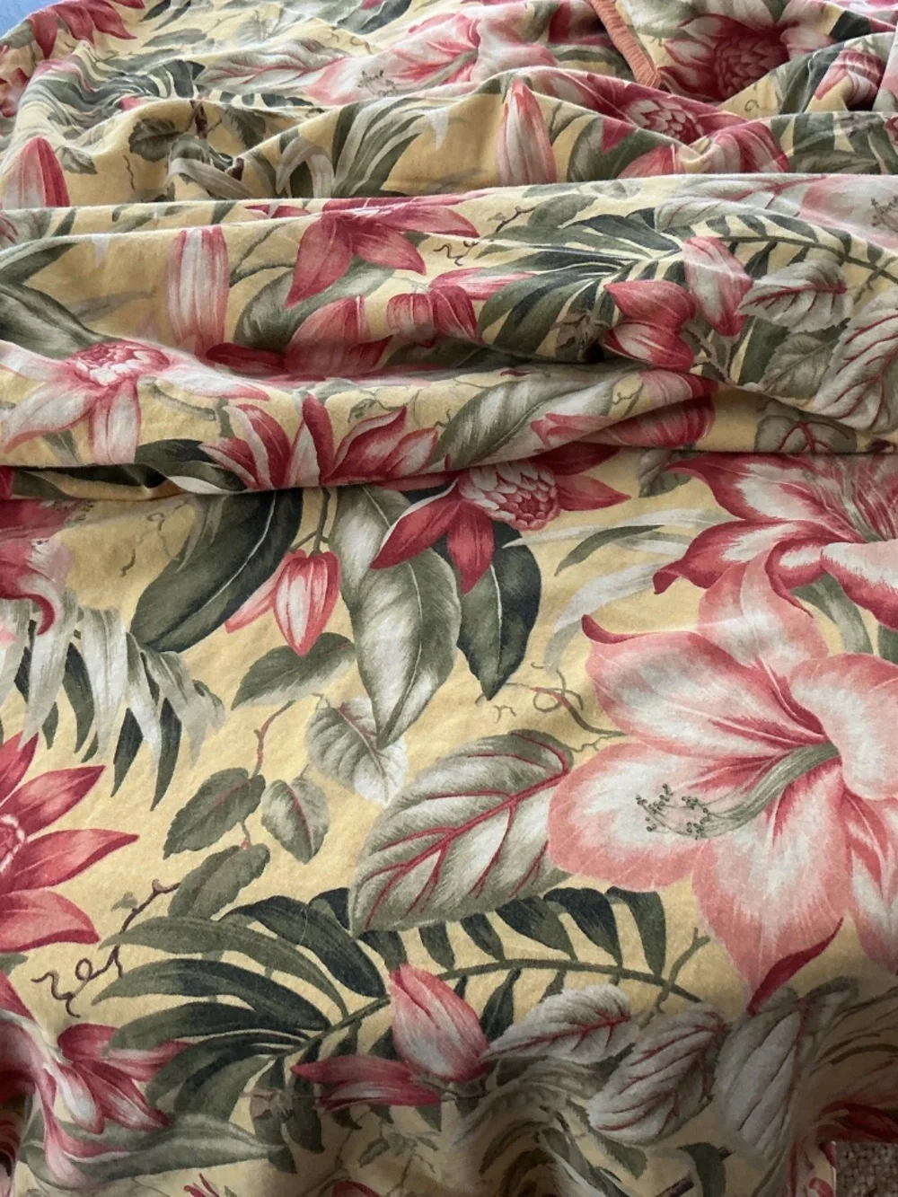 Tommy Bahama tommy bahama
